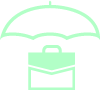 Business insurance icon